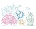 Underwater wildlife illustration with fishes, corals, plants, moorish idol, ocean, marine vector illustration