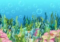 Underwater world background, seabed with seaweed and coral reef, seascape horizontal seamless border, ocean bottom, multicolored Royalty Free Stock Photo