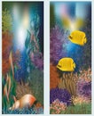Underwater world banners with seashell Royalty Free Stock Photo