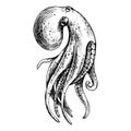 Underwater world clipart with Octopus. Graphic illustration hand drawn in black ink. Isolated object EPS vector.