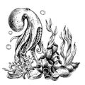 Underwater world clipart with sea animals octopus, shells, coral and algae. Graphic illustration hand drawn in black ink Royalty Free Stock Photo