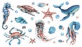 Underwater world clipart with sea animals whale, turtle, octopus, seahorse, starfish, shells, bubbles. Hand drawn Royalty Free Stock Photo