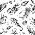 Underwater world clipart with sea animals whale, turtle, octopus, seahorse, starfish, shells, coral and algae. Graphic Royalty Free Stock Photo
