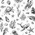 Underwater world clipart with sea animals whale, turtle, octopus, seahorse, starfish, shells, coral and algae. Graphic Royalty Free Stock Photo