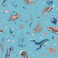 Underwater world clipart with sea animals whale, turtle, octopus, seahorse, starfish, shells, coral and algae. Hand Royalty Free Stock Photo