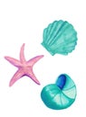 Underwater world colorful design elements collection. Marine wildlife silhuettes set. Seaweed, corals, shells