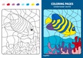 Underwater world coloring page for kids, angelfish.