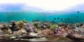 Coral reef with fish underwater 360VR. Camiguin, Philippines