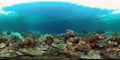 The underwater world of a coral reef. Philippines. Virtual Reality 360 Royalty Free Stock Photo