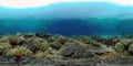 The underwater world of a coral reef. Philippines. Virtual Reality 360 Royalty Free Stock Photo