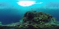 The underwater world of a coral reef 360VR.