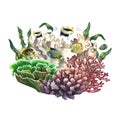 Underwater world with corals and colorful coral fish. Painted in watercolor by hand. For business cards and banners Royalty Free Stock Photo