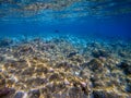 Underwater world landscape,colorful coral reef and blue clear wa Royalty Free Stock Photo