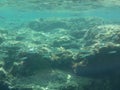 The amazing underwater world of the Mediterranean Sea near the island of Rhodes. Rhodes, Greece Royalty Free Stock Photo