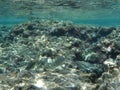 The amazing underwater world of the Mediterranean Sea near the island of Rhodes. Rhodes, Greece Royalty Free Stock Photo