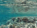 The amazing underwater world of the Mediterranean Sea near the island of Rhodes. Rhodes, Greece Royalty Free Stock Photo