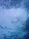 Bubbles of divers deep blue sea surfaces breathing Ocean safety stop