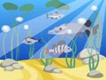 Underwater world, a reservoir. Animals and nature of the lake. In minimalist style Cartoon flat vector Royalty Free Stock Photo