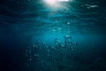 Underwater world with school fish swim above a coral reef and sun light Royalty Free Stock Photo