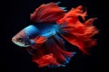 underwater world where vibrant fish of all colors flourish against a dark backdrop.