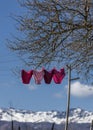 Underwear on a clothesline Royalty Free Stock Photo