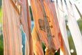 Underwear drying on the clothesline