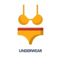 Underwear flat icon vector design Royalty Free Stock Photo