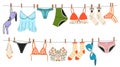 Underwear on ropes. Women panties and bras drying on clothesline, beautiful ladies lingerie, color female undergarment