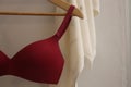 Underwire T-shirt bra Royalty Free Stock Photo