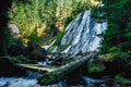 Underwood waterfall on Diamond Creek Royalty Free Stock Photo