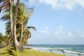 Undeveloped Sally Peach beach palm trees Caribbean Sea with nat Royalty Free Stock Photo