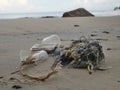 Nylon ropes, fishing nets and plastic glasses were left on the sandy beach. pollution in garbage. Undigested garbage washed Royalty Free Stock Photo