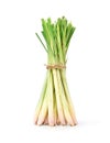 Ã Â¸Âºundle of  Fresh lemongrass Royalty Free Stock Photo