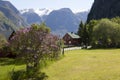 Undredal fjord Royalty Free Stock Photo