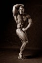 Undressed tanned bodybuilder demonstrates his arms and legs muscles Royalty Free Stock Photo