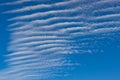 Undulated cloud on a blue sky background