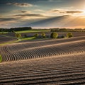 In the distance a few farm buildings are surrounded by lush green trees Royalty Free Stock Photo