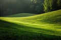 The undulating hills of lush green grass, bathed in the soft light of the setting sun, evoke a profound sense of peace and natural
