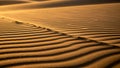 Undulating patterns emphasize the natural beauty of the desert Royalty Free Stock Photo