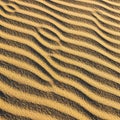 Undulating patterns of sand with alternating dark and light stripes create Royalty Free Stock Photo