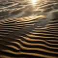 Undulating patterns of sand reveal intricate textures with ripples casting long Royalty Free Stock Photo