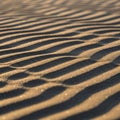 Undulating patterns of sand ripples create an intricate desig Royalty Free Stock Photo