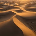 Undulating sand dunes cast long shadows at sunset, creating a striking pattern of Royalty Free Stock Photo