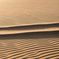 Undulating sand dunes cast shadows that emphasize the ripple patterns Royalty Free Stock Photo