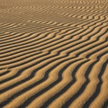 Undulating sand dunes with clearly defined ridges create a rhythmic pattern across Royalty Free Stock Photo