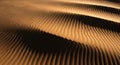 Undulating sand dunes create elegant patterns in fine, textured lines, shaped by wind erosion. The Royalty Free Stock Photo