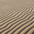 Undulating sand dunes create rhythmic, parallel Royalty Free Stock Photo