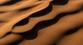 Undulating sand dunes create a rhythmic pattern, casting long shadows in the low sunlight. The Royalty Free Stock Photo