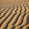 Undulating sand dunes create rippled patterns under sunlight Royalty Free Stock Photo