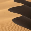 Undulating sand dunes with distinct shadows create a striking contrast between light Royalty Free Stock Photo